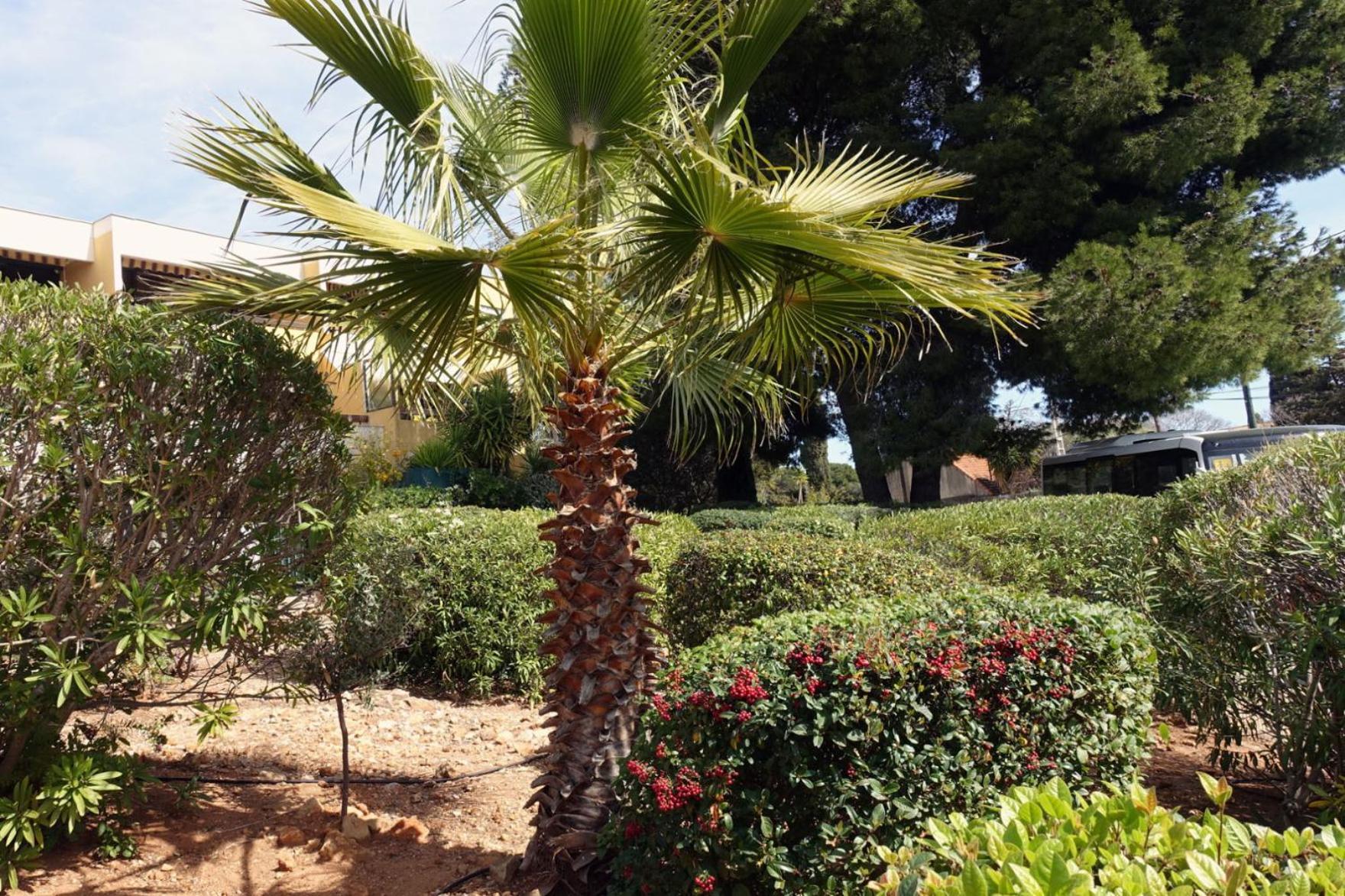 Les Jardins De Bandol, Piscine Privee, Belle Vue Mer Экстерьер фото